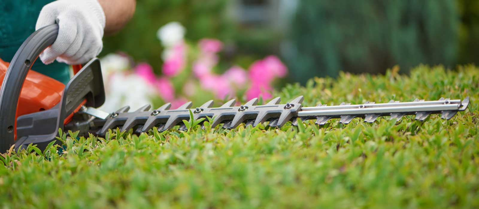 Elettroutensili per giardinaggio