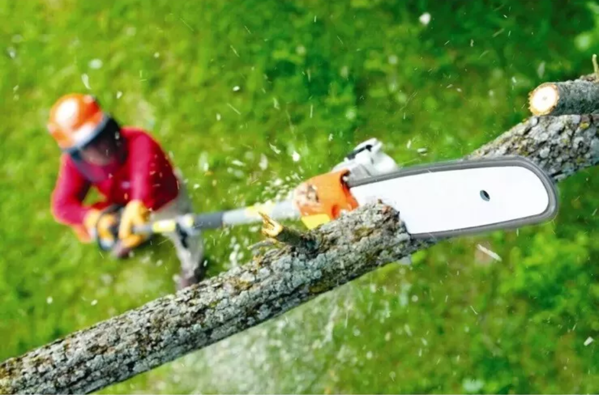 Kit Adattatore da decespugliatore a motosega sega a catena 9 denti tubo 26MM