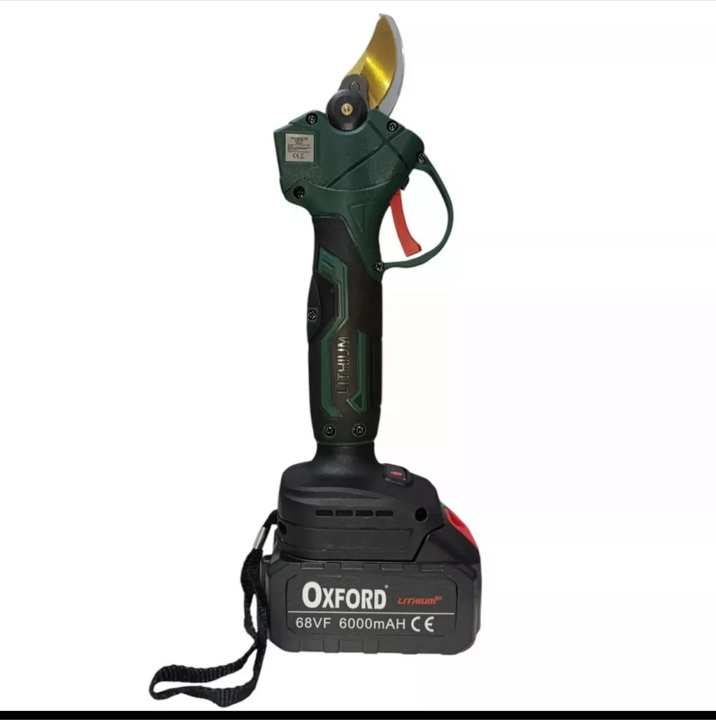 Kit Potatura Forbice Cesoia Motosega 6" a batteria 68Vf +asta telescopica CH0402