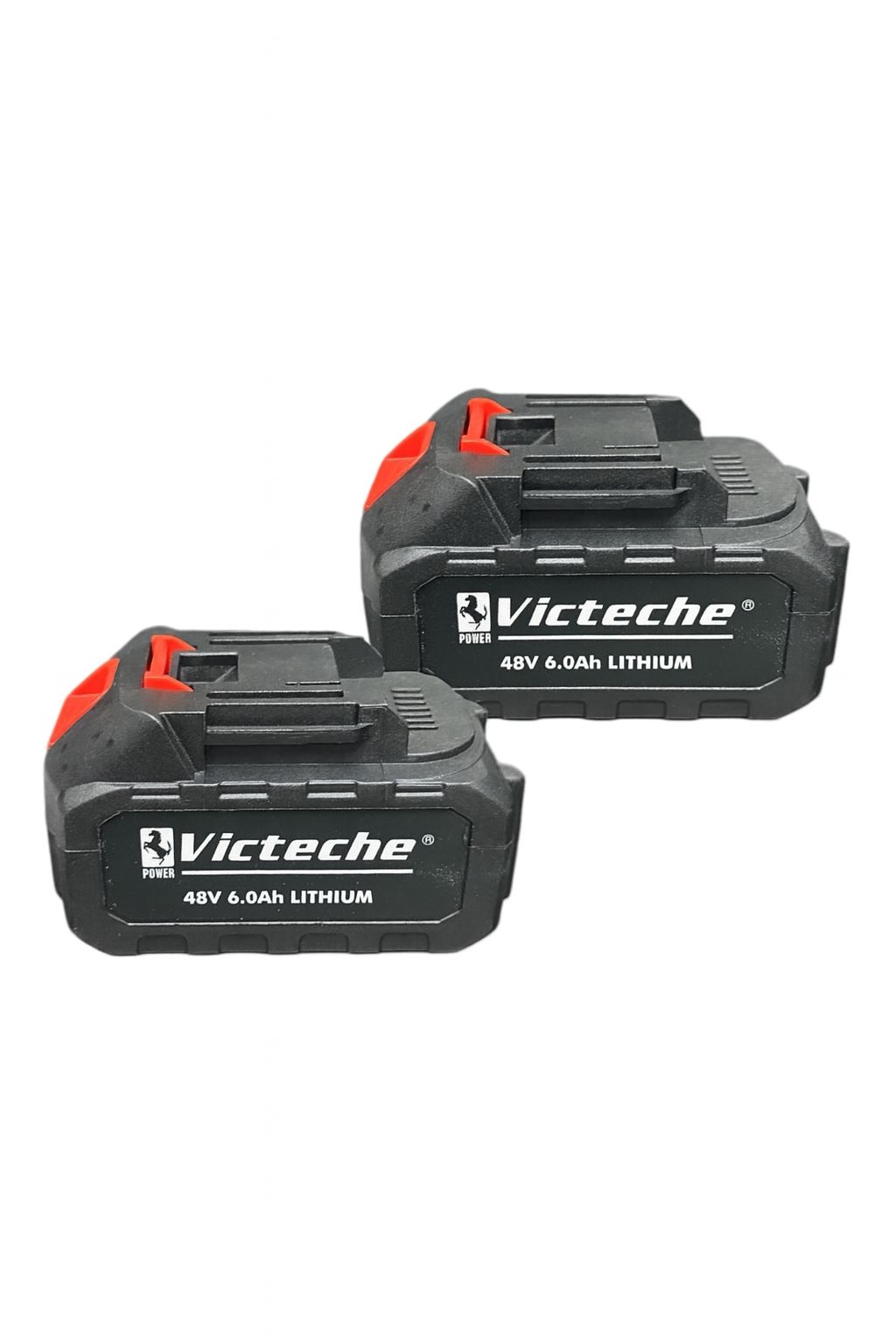 Motosega Potatura 8’’ Brushless con OLEATORE + 2 Batterie 48V 5Ah Valigetta Kit Completo